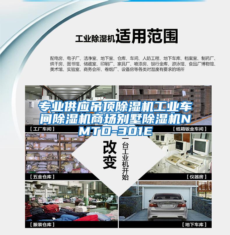 專業供應吊頂除濕機工業車間除濕機商場別墅除濕機NMTD-301E