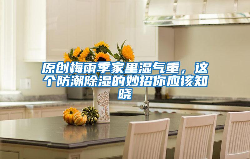 原創(chuàng)梅雨季家里濕氣重,這個(gè)防潮除濕的妙招你應(yīng)該知曉