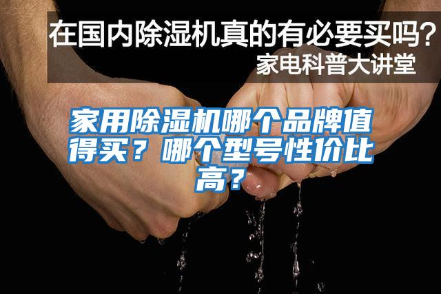 家用除濕機哪個品牌值得買?哪個型號性價比高?