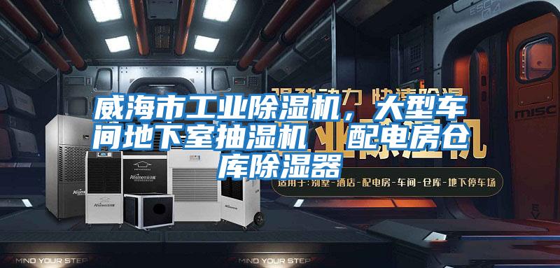 威海市工業(yè)除濕機,大型車間地下室抽濕機 配電房倉庫除濕器