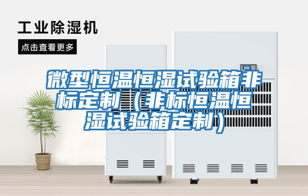 微型恒溫恒濕試驗(yàn)箱非標(biāo)定制(非標(biāo)恒溫恒濕試驗(yàn)箱定制)