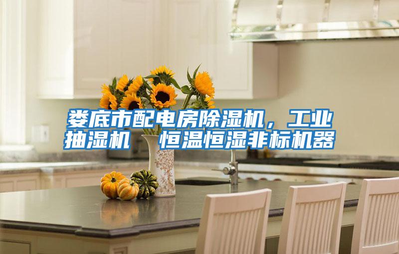 婁底市配電房除濕機，工業抽濕機  恒溫恒濕非標機器