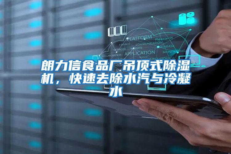 朗力信食品廠吊頂式除濕機，快速去除水汽與冷凝水