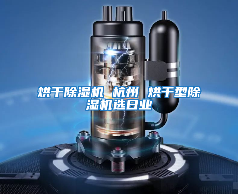烘干除濕機 杭州 烘干型除濕機選日業
