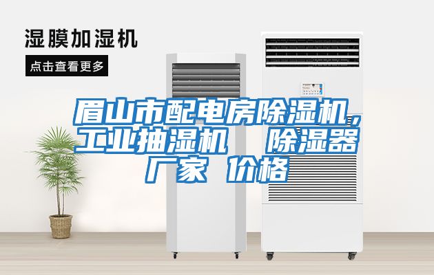 眉山市配電房除濕機(jī)，工業(yè)抽濕機(jī)  除濕器廠家 價(jià)格