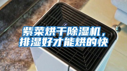 紫菜烘干除濕機(jī)，排濕好才能烘的快