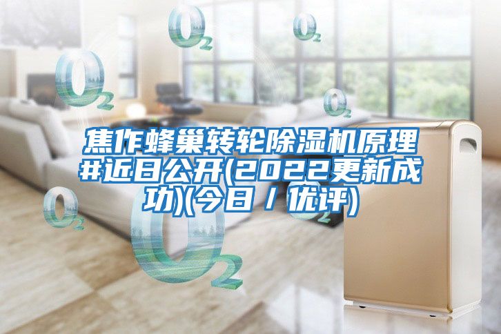 焦作蜂巢轉輪除濕機原理#近日公開(2022更新成功)(今日/優評)