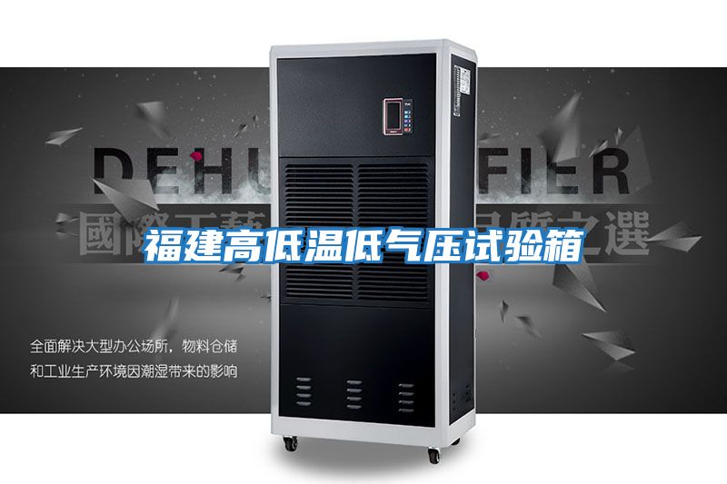 福建高低溫低氣壓試驗箱