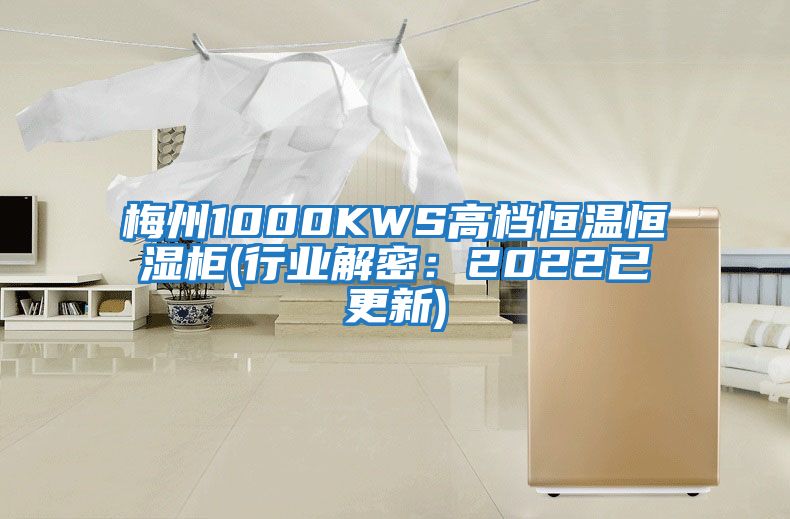 梅州1000KWS高檔恒溫恒濕柜(行業解密：2022已更新)