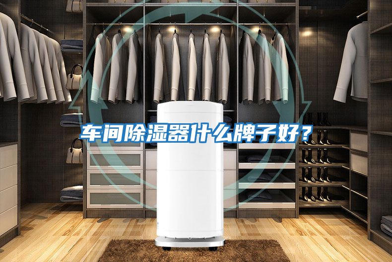 車間除濕器什么牌子好？