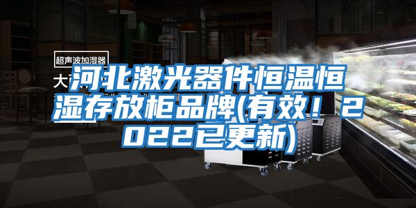 河北激光器件恒溫恒濕存放柜品牌(有效!2022已更新)