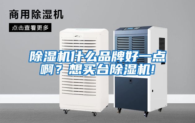 除濕機(jī)什么品牌好一點(diǎn)啊?想買(mǎi)臺(tái)除濕機(jī)!