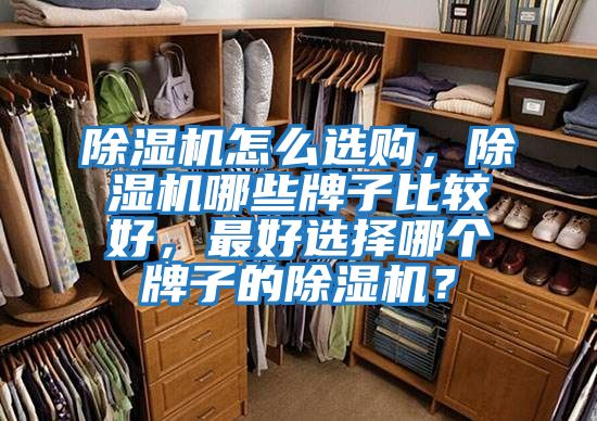 除濕機怎么選購，除濕機哪些牌子比較好，最好選擇哪個牌子的除濕機？