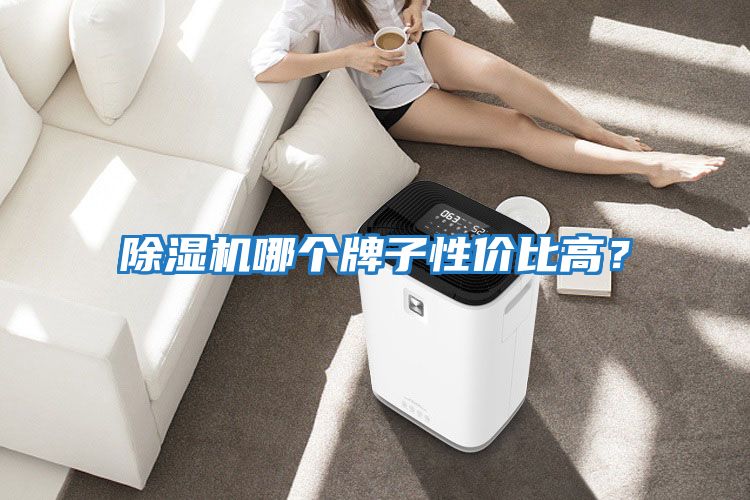 除濕機哪個牌子性價比高？