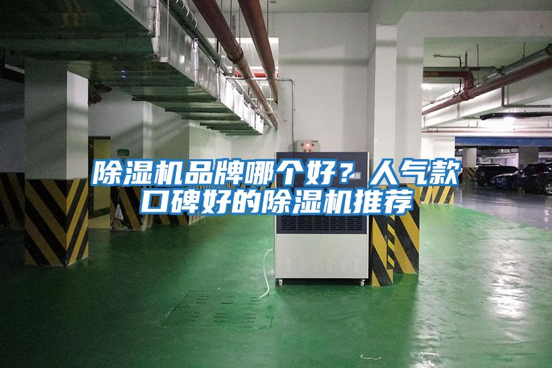 除濕機品牌哪個好？人氣款口碑好的除濕機推薦