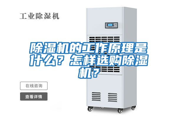除濕機的工作原理是什么?怎樣選購除濕機?