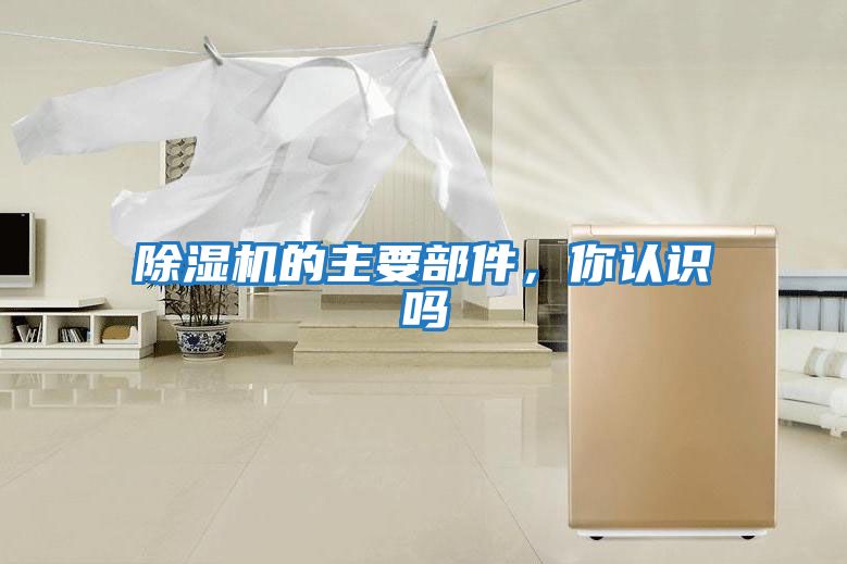 除濕機的主要部件，你認識嗎