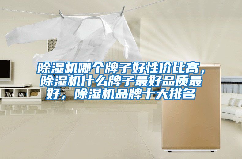 除濕機哪個牌子好性價比高,除濕機什么牌子最好品質(zhì)最好,除濕機品牌十大排名