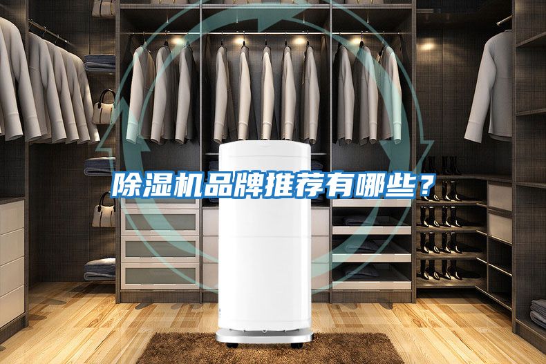 除濕機品牌推薦有哪些?