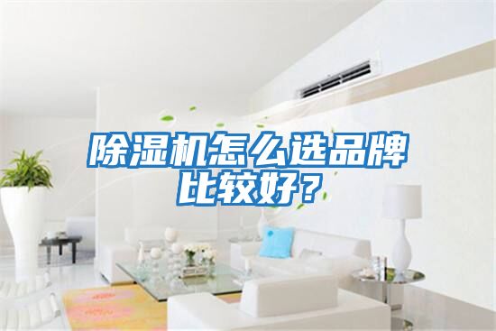 除濕機怎么選品牌比較好?
