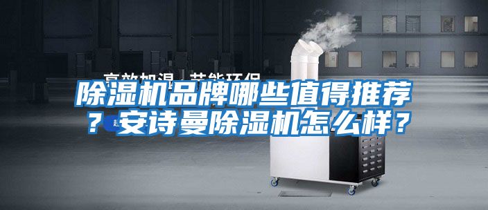 除濕機品牌哪些值得推薦？安詩曼除濕機怎么樣？