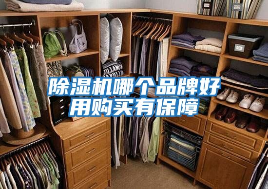 除濕機(jī)哪個(gè)品牌好用購(gòu)買(mǎi)有保障