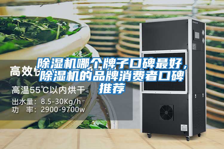 除濕機哪個牌子口碑最好，除濕機的品牌消費者口碑推薦