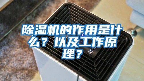 除濕機的作用是什么？以及工作原理？