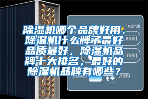 除濕機哪個品牌好用，除濕機什么牌子最好品質(zhì)最好，除濕機品牌十大排名，最好的除濕機品牌有哪些？
