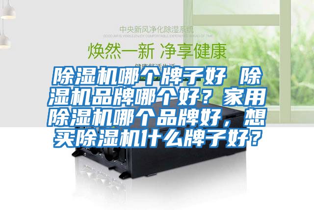 除濕機哪個牌子好 除濕機品牌哪個好？家用除濕機哪個品牌好，想買除濕機什么牌子好？