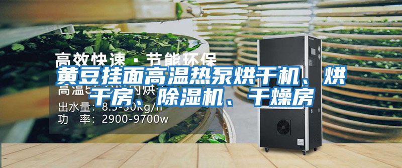 黃豆掛面高溫熱泵烘干機、烘干房、除濕機、干燥房